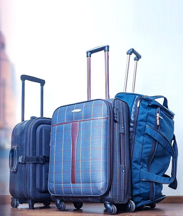 Lavie Designer Handbags Ozone Galleria Mall